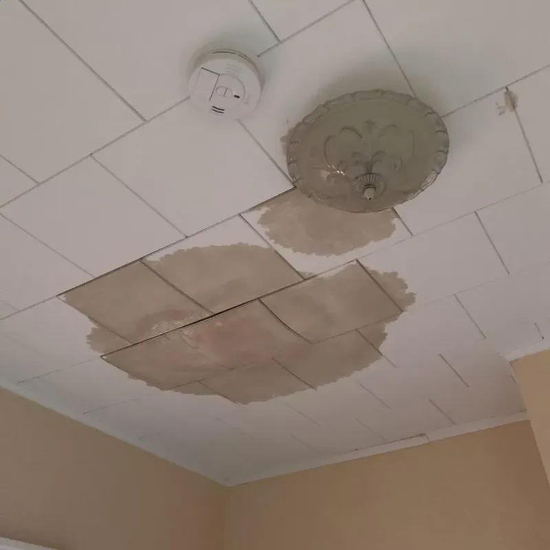 Ceiling Water Damage Repair in Hector, MN