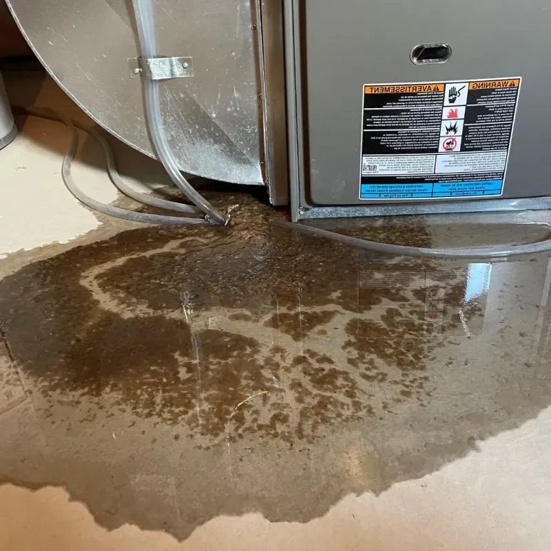 Pipe Burst and Leak Restoration in Hector, MN