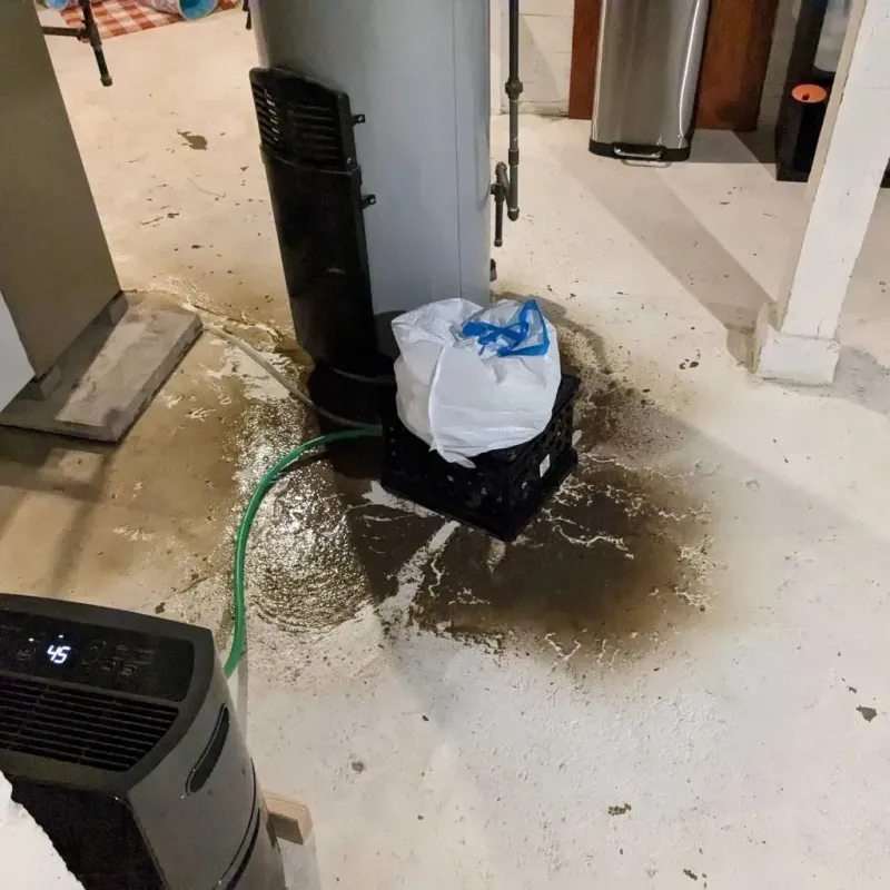 Sewage Backup Cleanup Service in Hector, MN